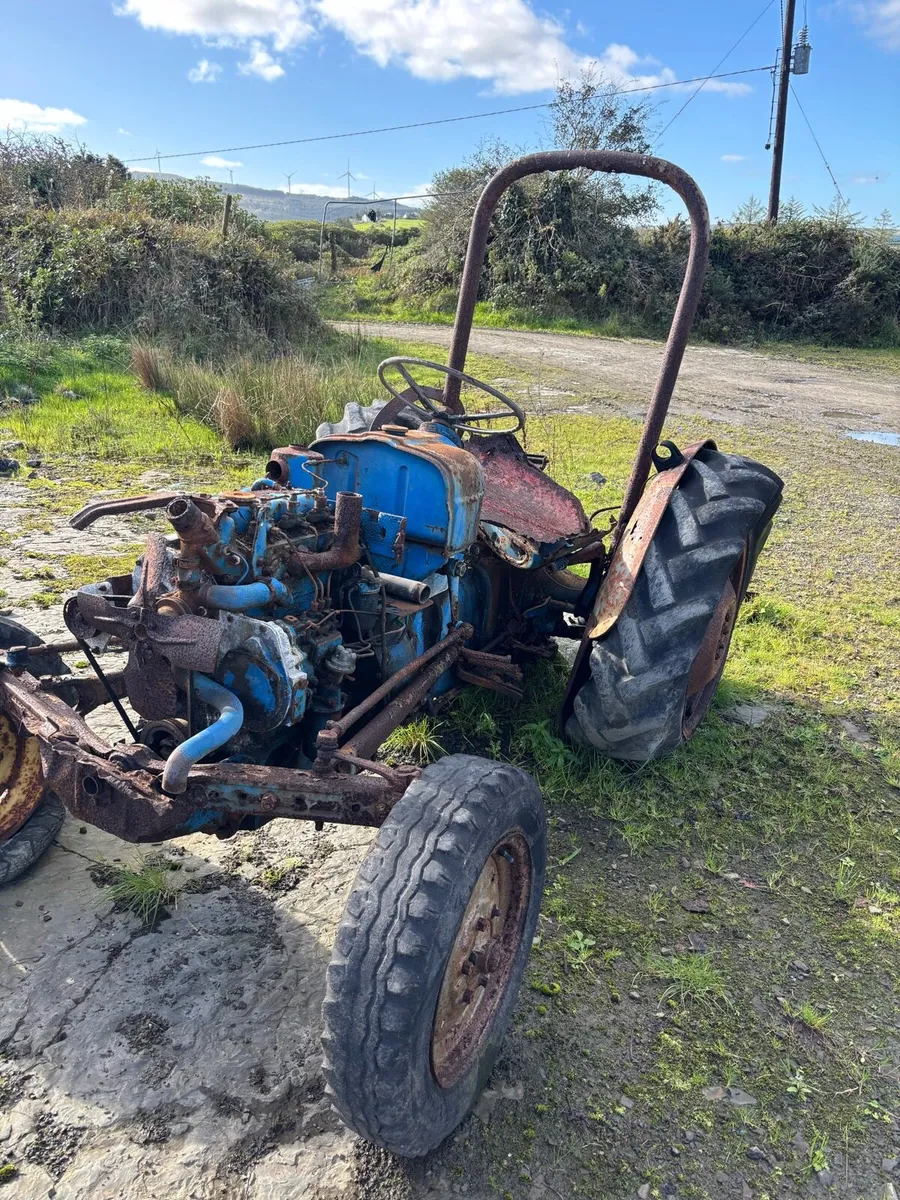 Yard clearance - Image 1
