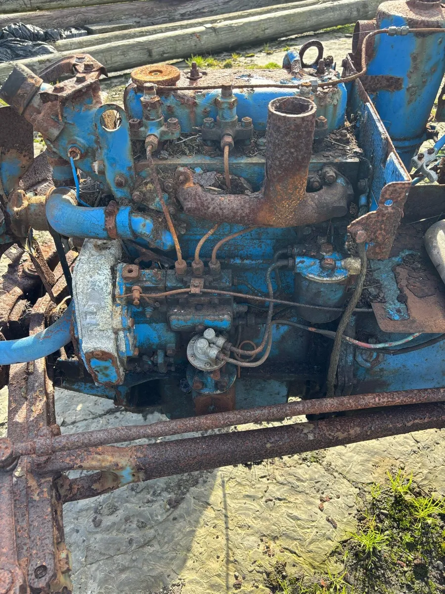 Yard clearance - Image 2