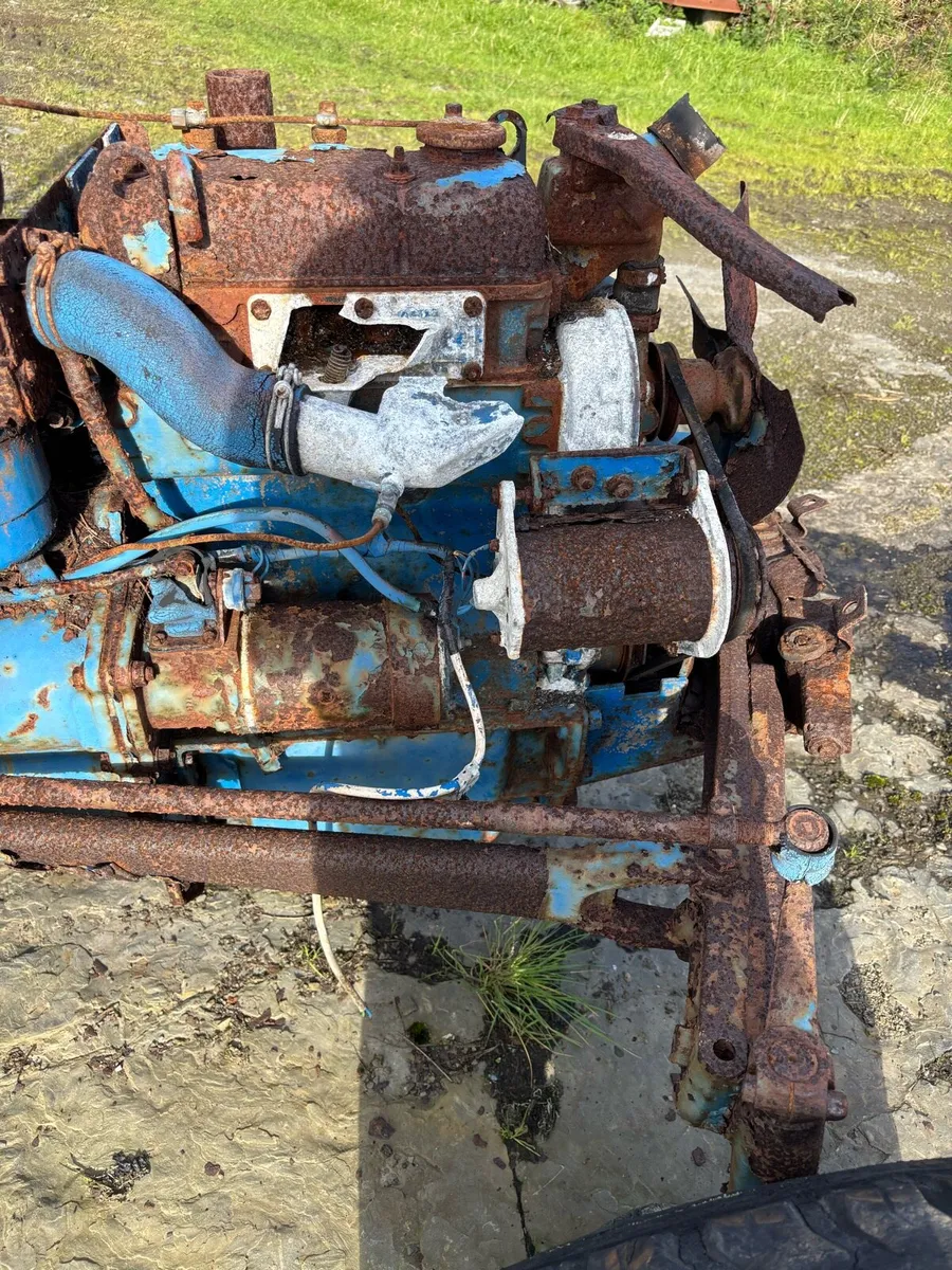 Yard clearance - Image 3
