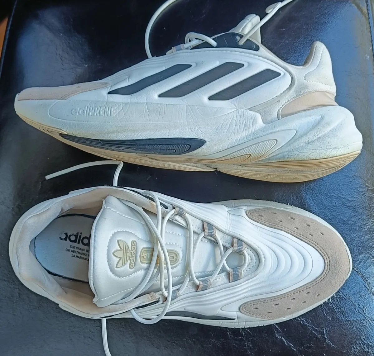trainer's
