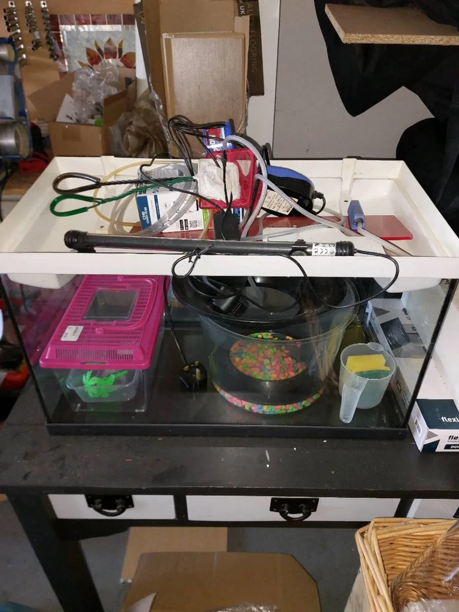 Aquarium and accessories - Image 1