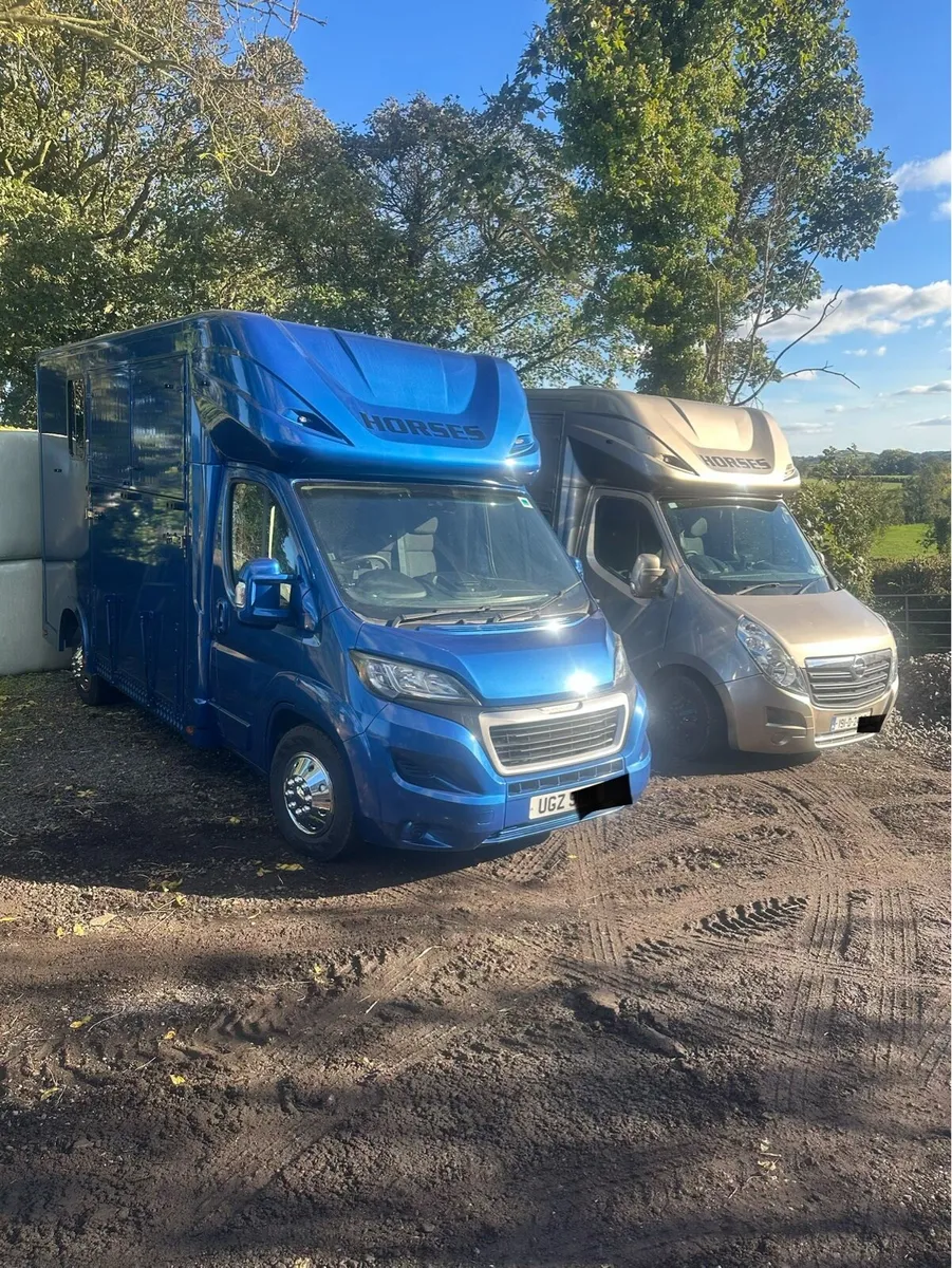 BRAND NEW 3.5 TONNES REGENT 2 STALL BOXES - Image 1