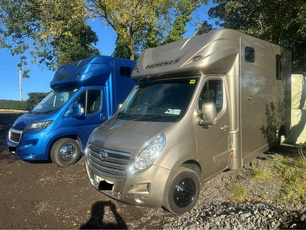 BRAND NEW 3.5 TONNES REGENT 2 STALL BOXES - Image 2