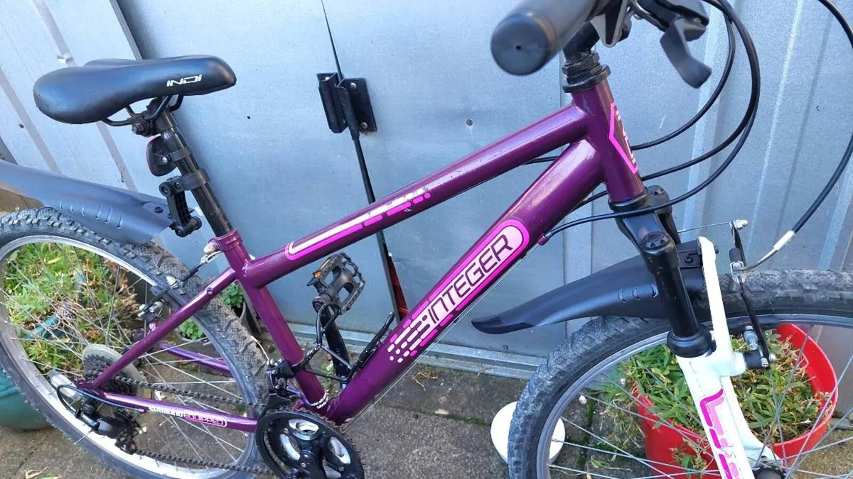 Indi Integer Ladies Bike works 💯% - Image 1