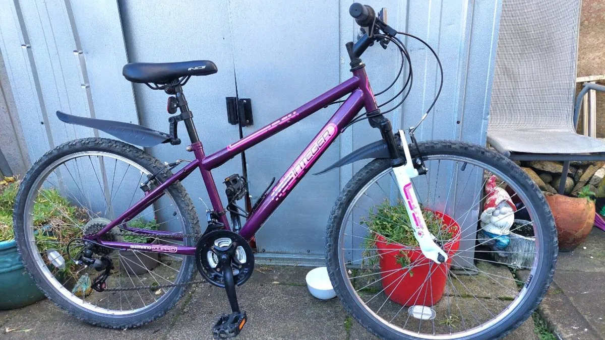 Indi Integer Ladies Bike works 💯% - Image 3