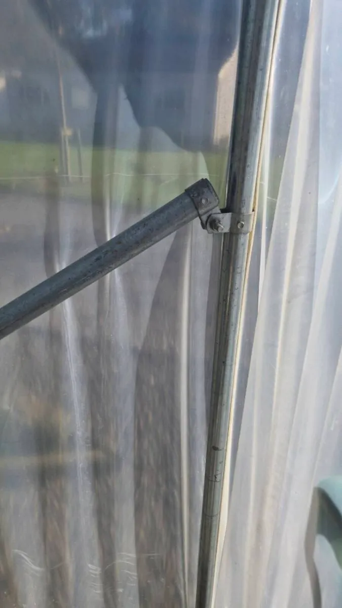 Polytunnel - Image 4