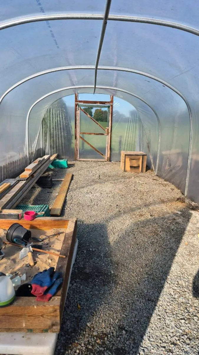Polytunnel - Image 1