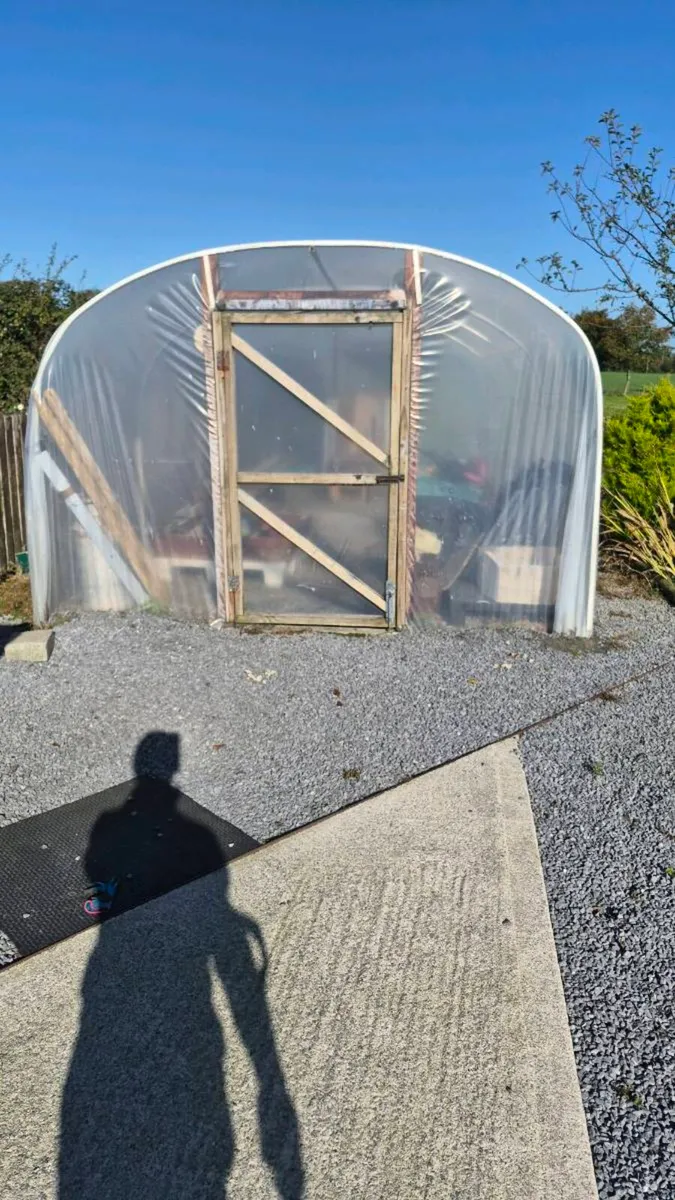 Polytunnel - Image 2