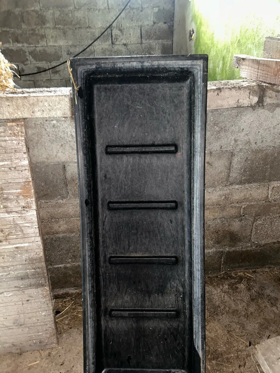 Sheep footbath - Image 1