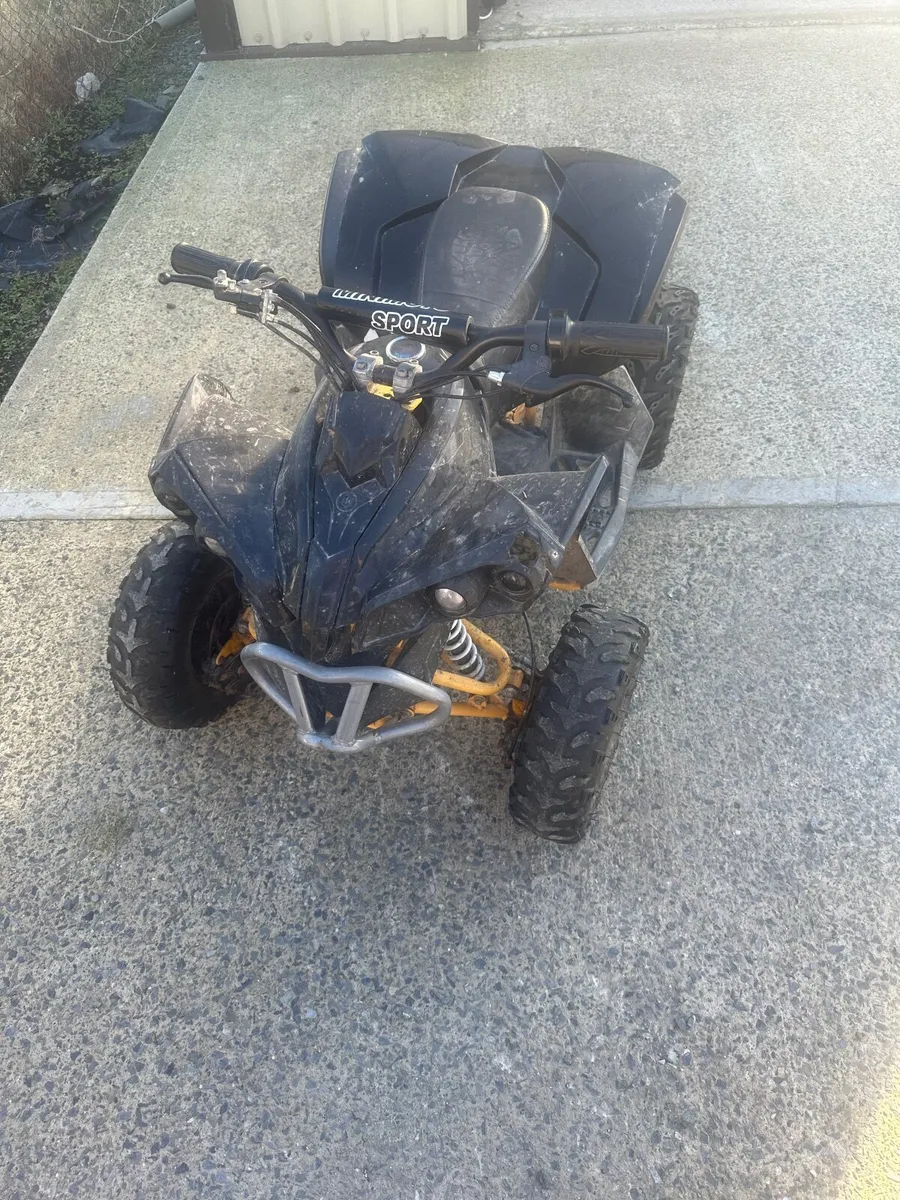 Electric quad - Image 1
