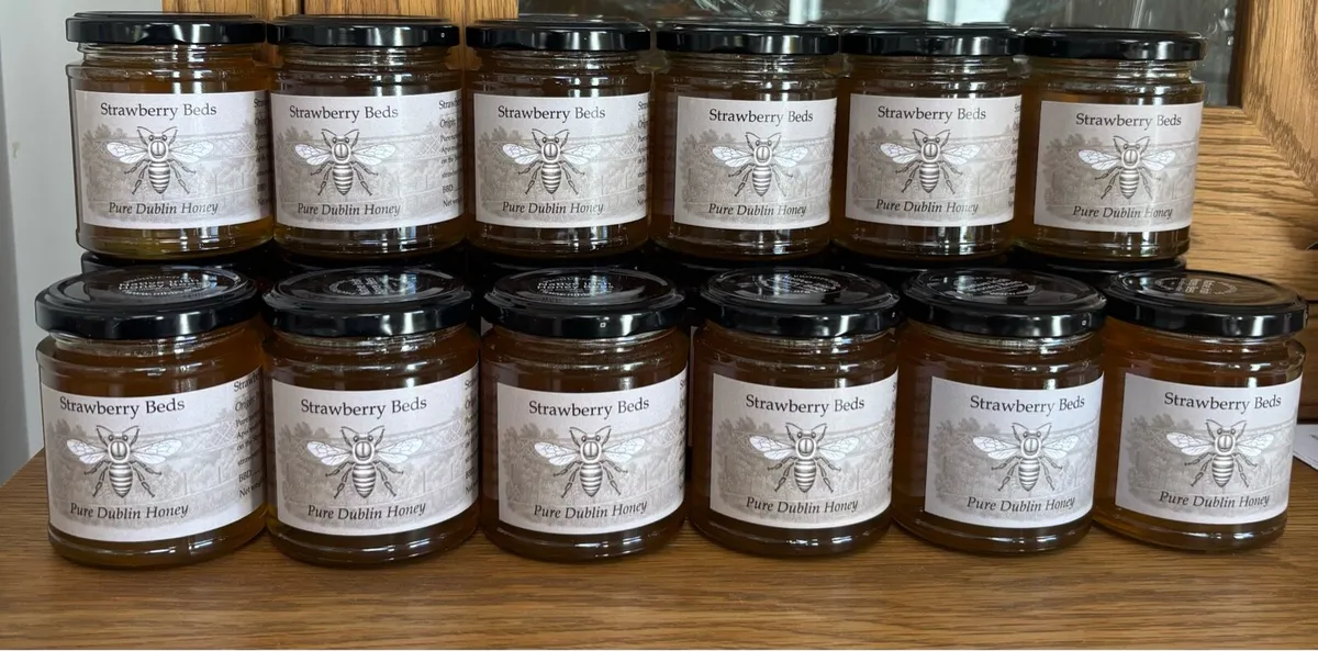 Honey - Image 1