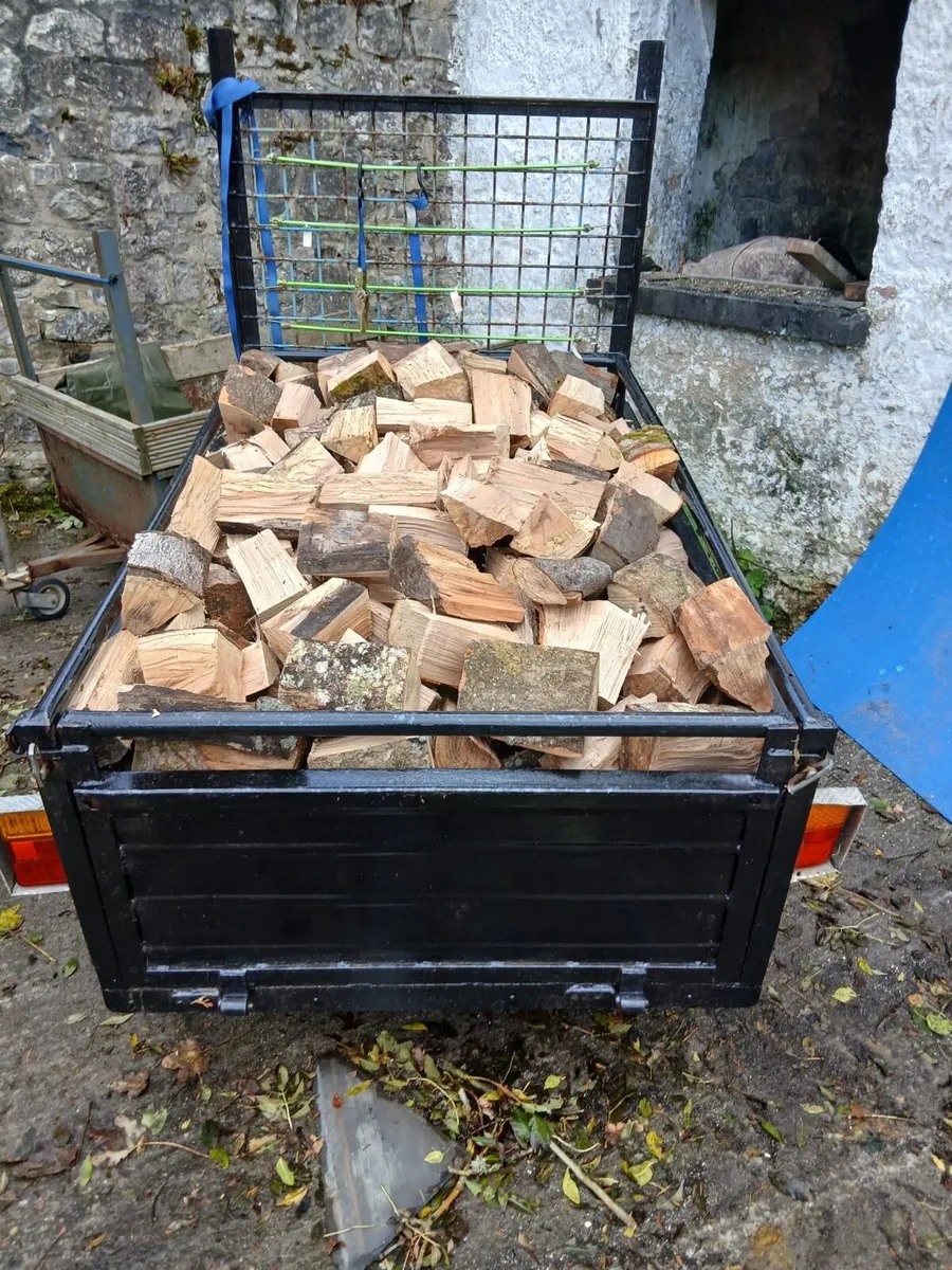 Beech Hardwood firewood 🪵 - Image 1