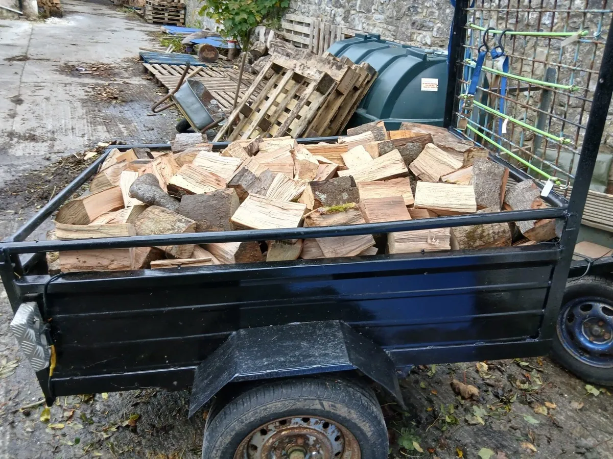 Beech Hardwood firewood 🪵 - Image 2