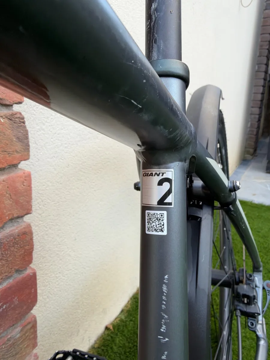 Giant Roam Medium Size Frame - Image 4