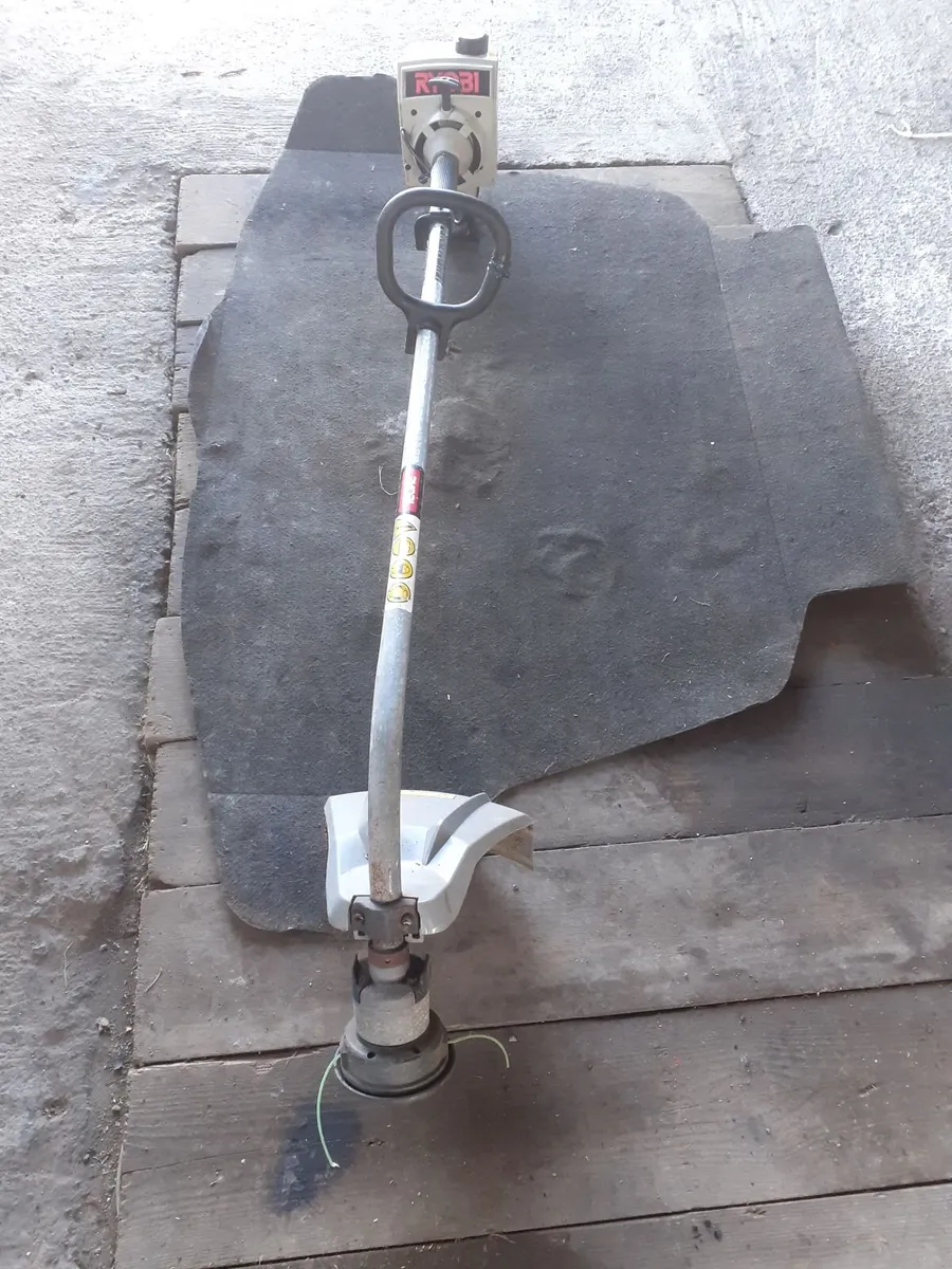 RYOBI scorpion - Image 1