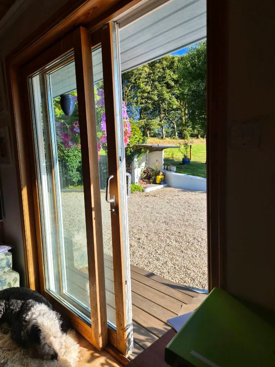 Patio doors - Image 2