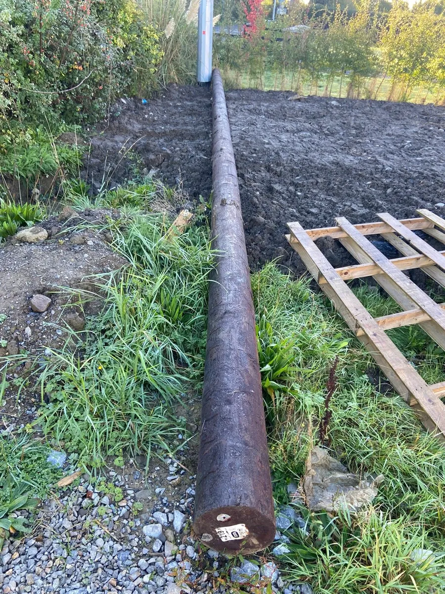 ESB poles