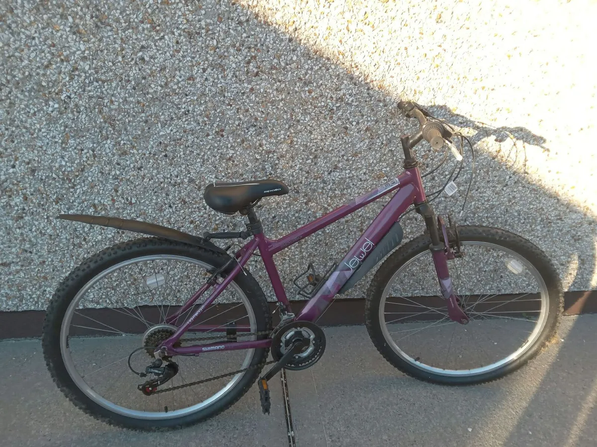 Girls bicycle - Image 1