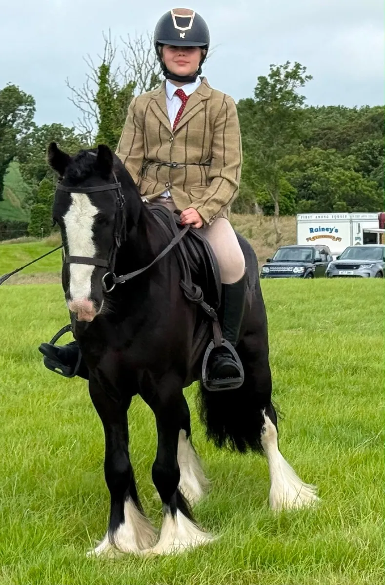 12.2 first pony - Image 3