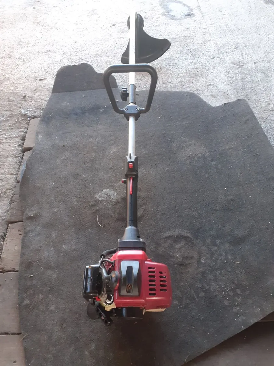 GARDEN BUDDY STRIMMERS - Image 1