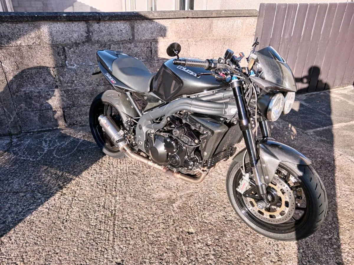 TRIUMPH SPEED TRIPLE - Image 2