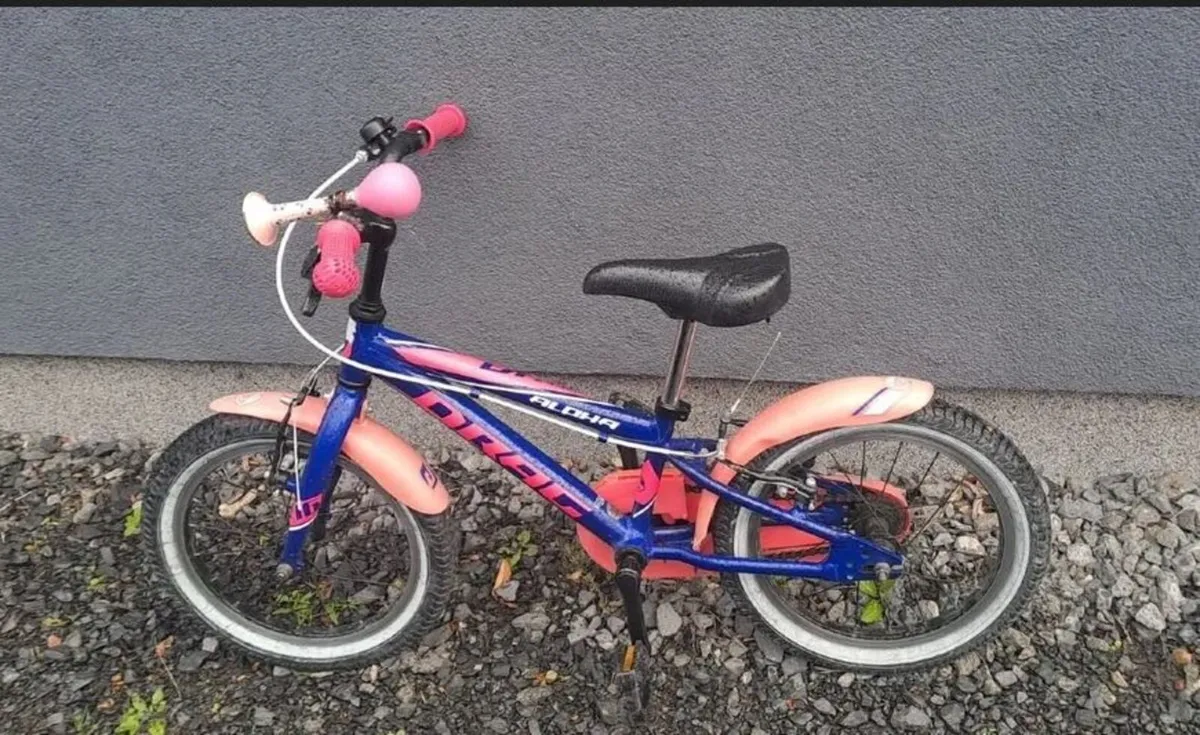 Kids blue & pink bike suit ca. 4yr old
