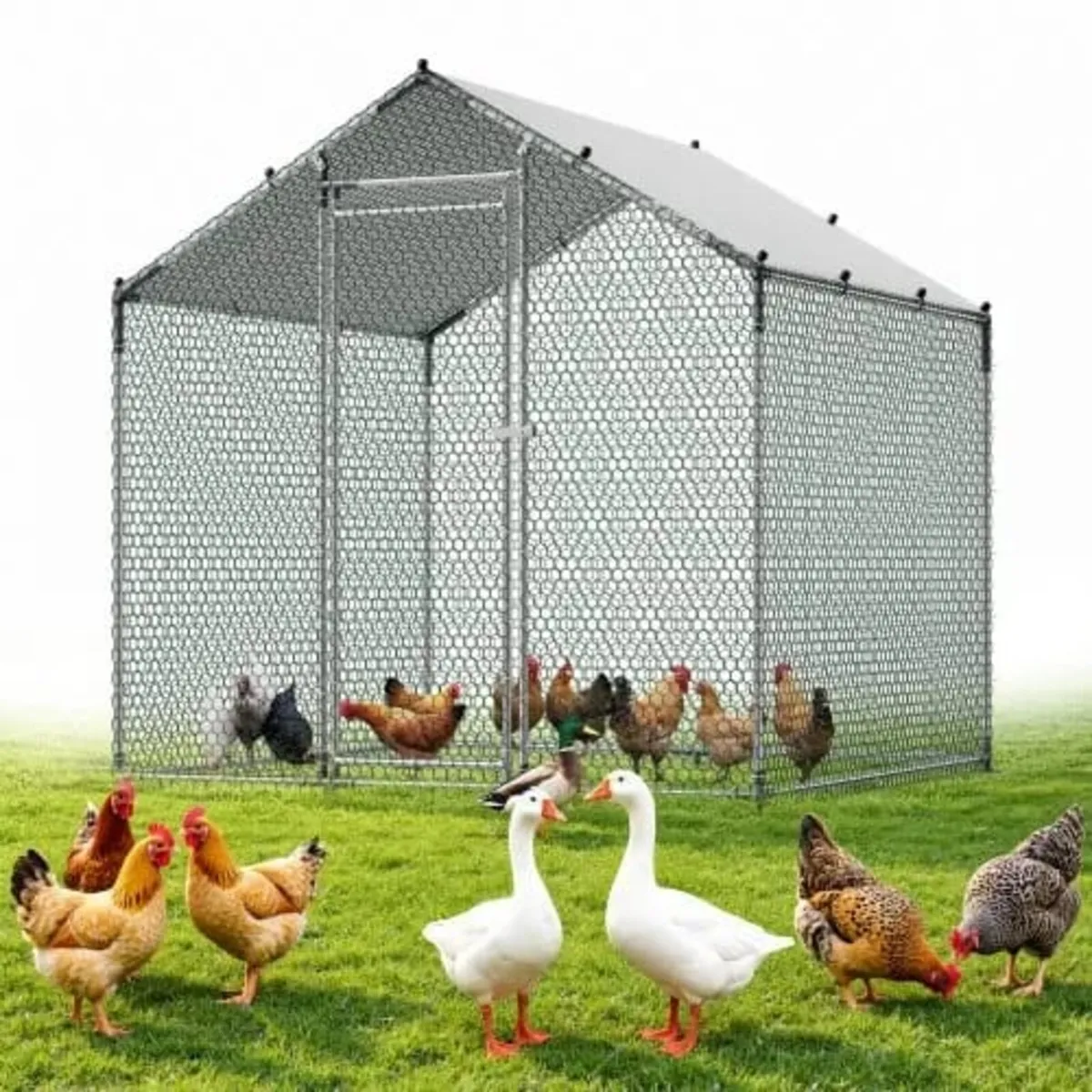 Large Metal Chicken Coop 2 x 2 x 2 m Walk-in Chick - Image 1