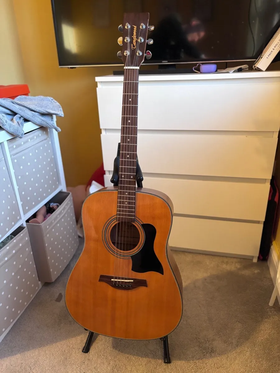 Guitar - Image 1