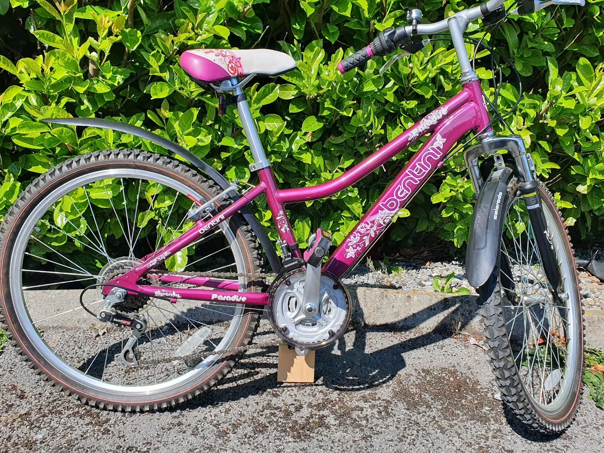 Girls Bike - Image 1