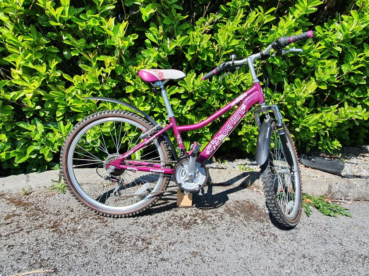 Girls Bike - Image 2
