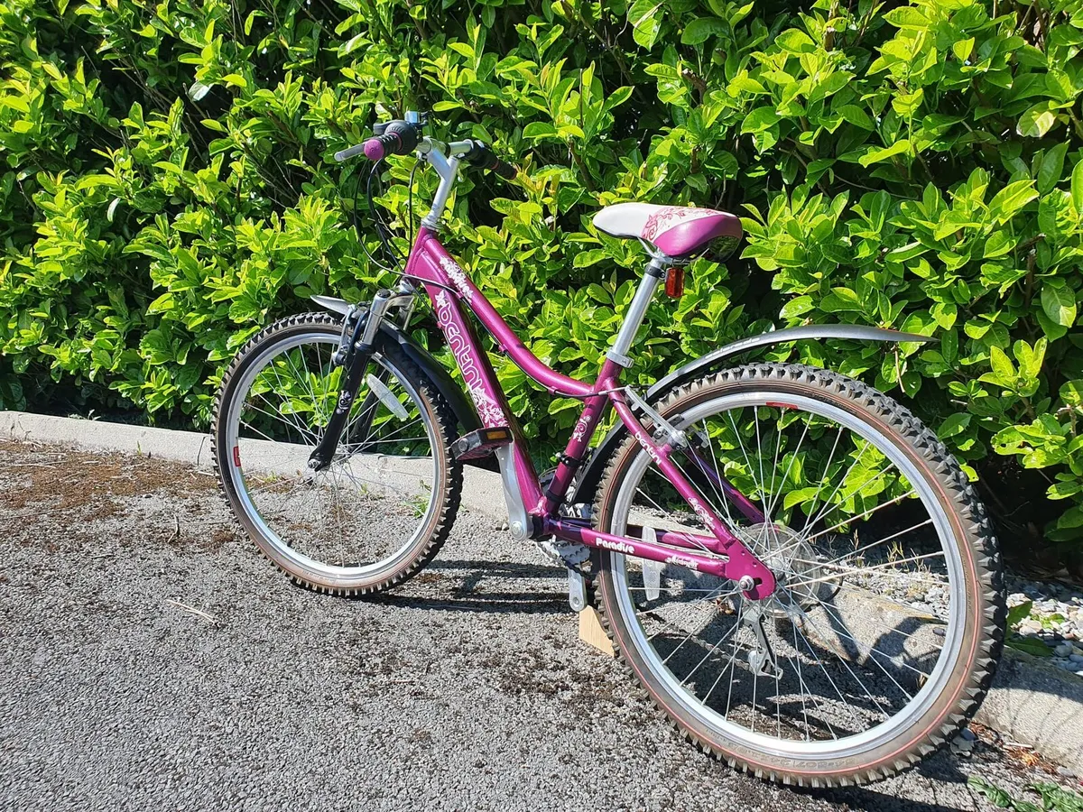 Girls Bike - Image 4