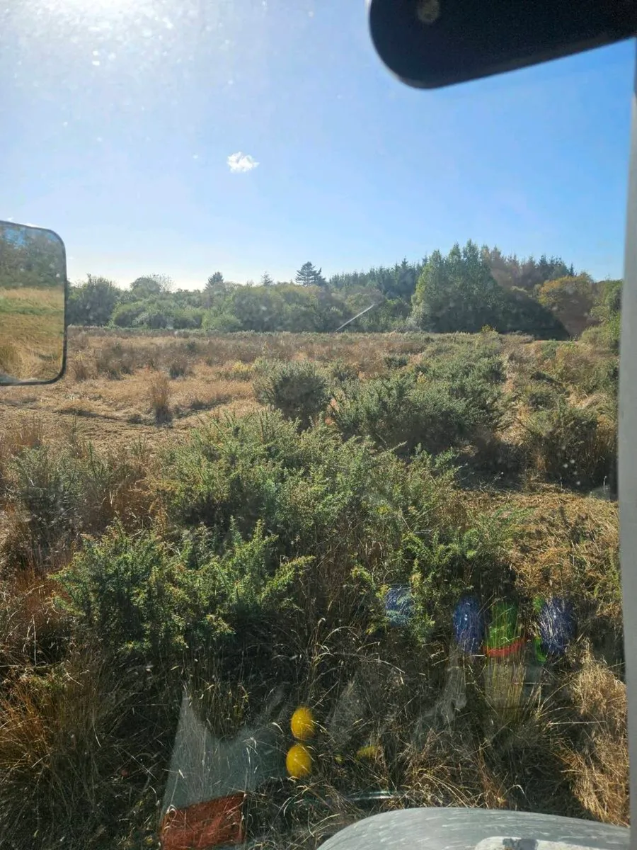 Mulching service - Image 4