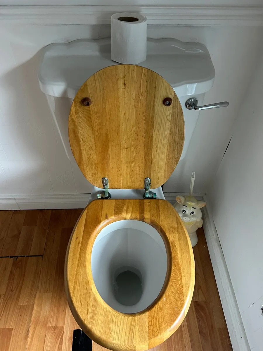 Bathroom Toilet & Sink €60 *REDUCED FOR QUICK SALE - Image 4