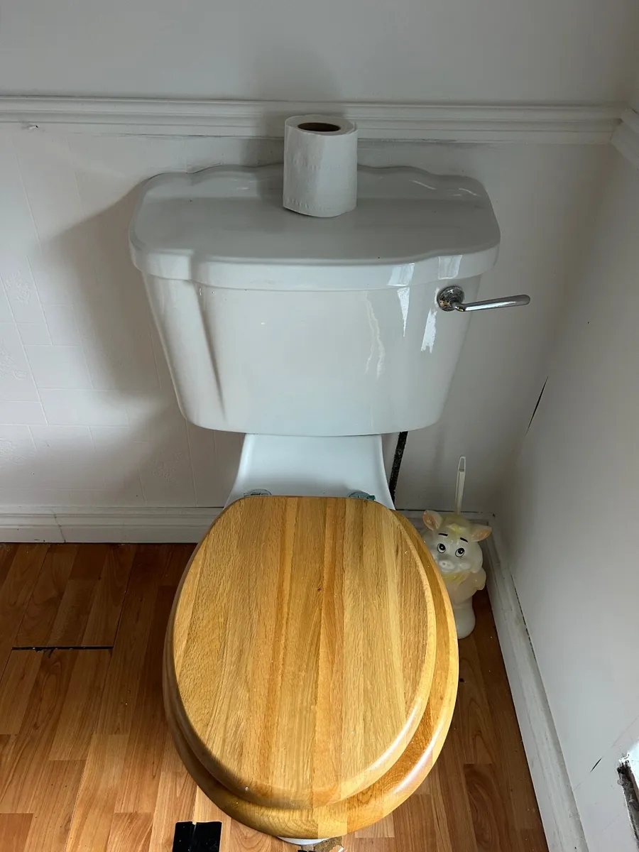 Bathroom Toilet & Sink €60 *REDUCED FOR QUICK SALE - Image 1