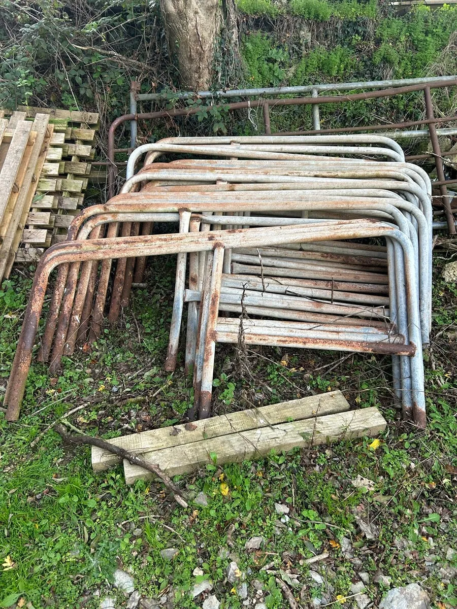 Weanlings cubicles - Image 3