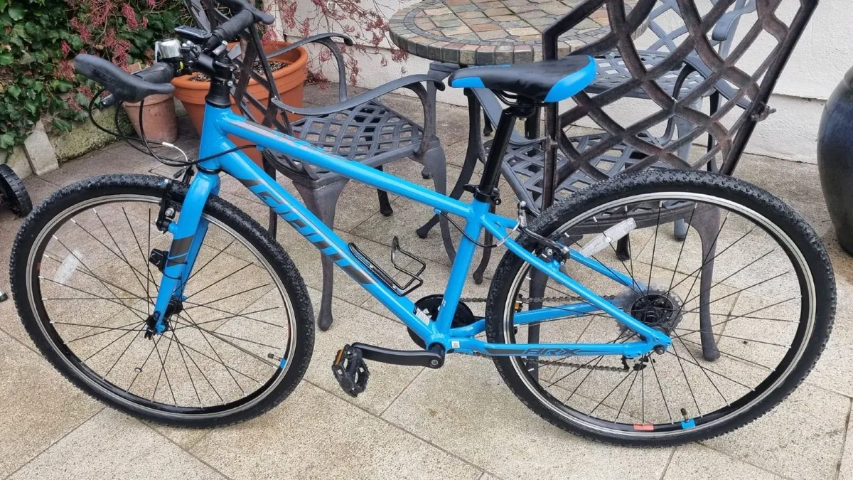 Giant ARX 26 Bike - Image 1