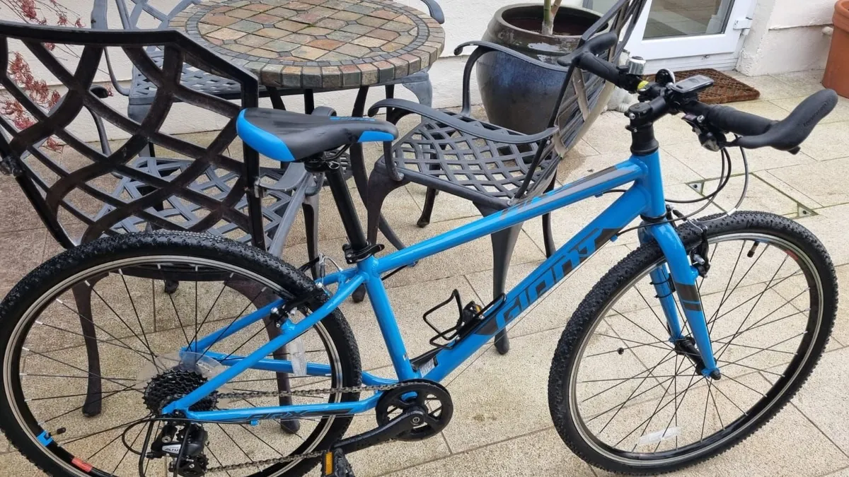 Giant ARX 26 Bike - Image 2