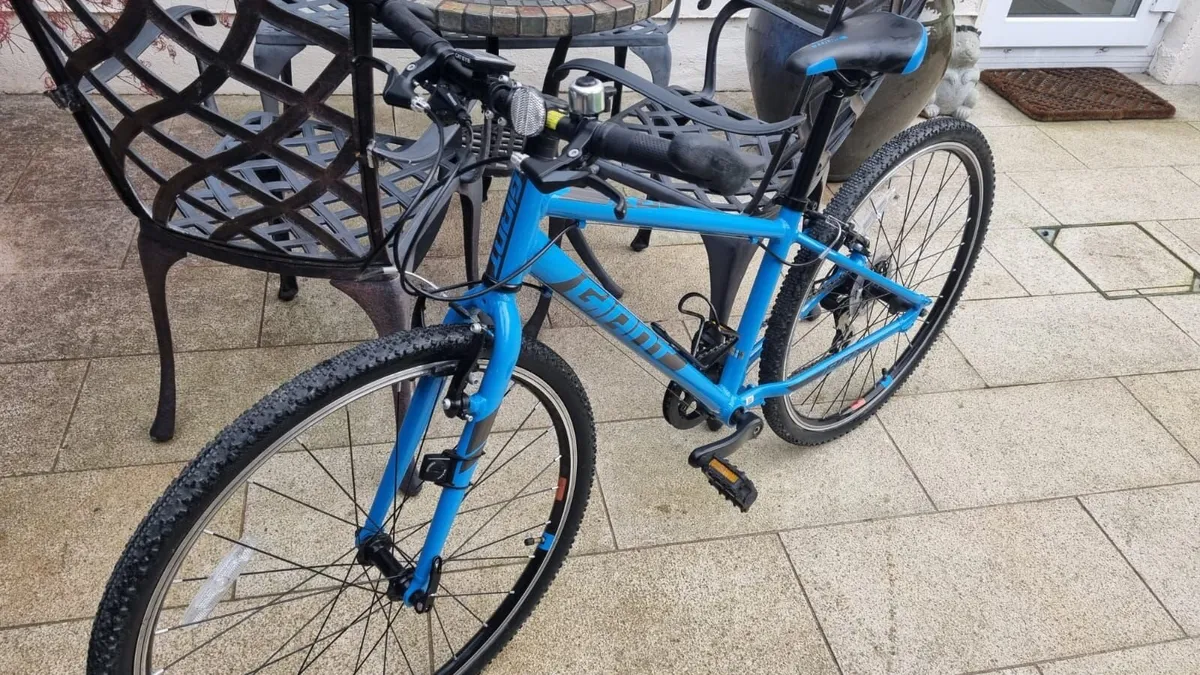 Giant ARX 26 Bike - Image 4