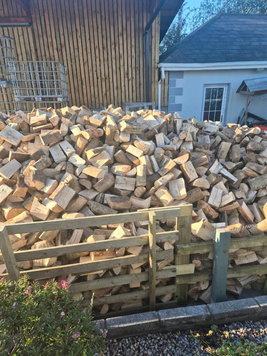 Firewood - Image 1