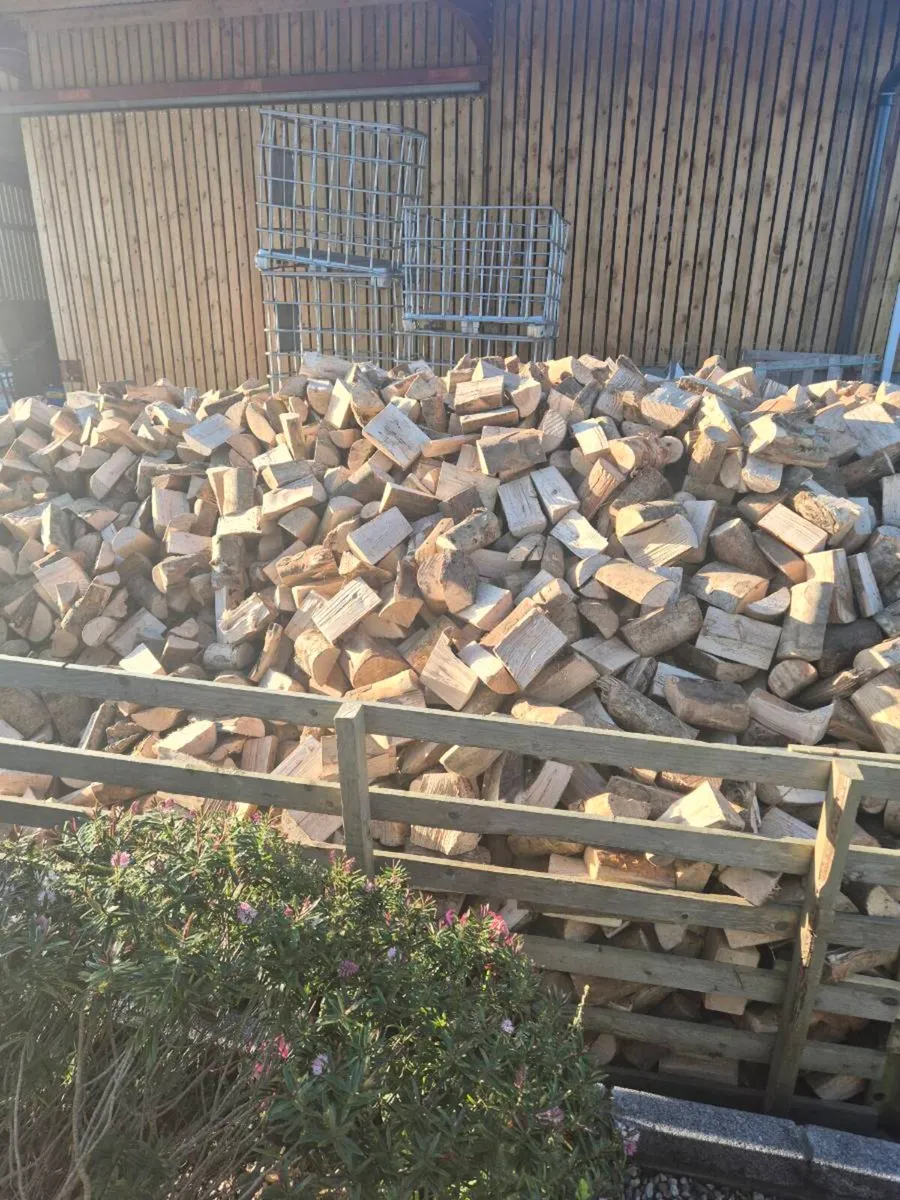 Firewood - Image 2