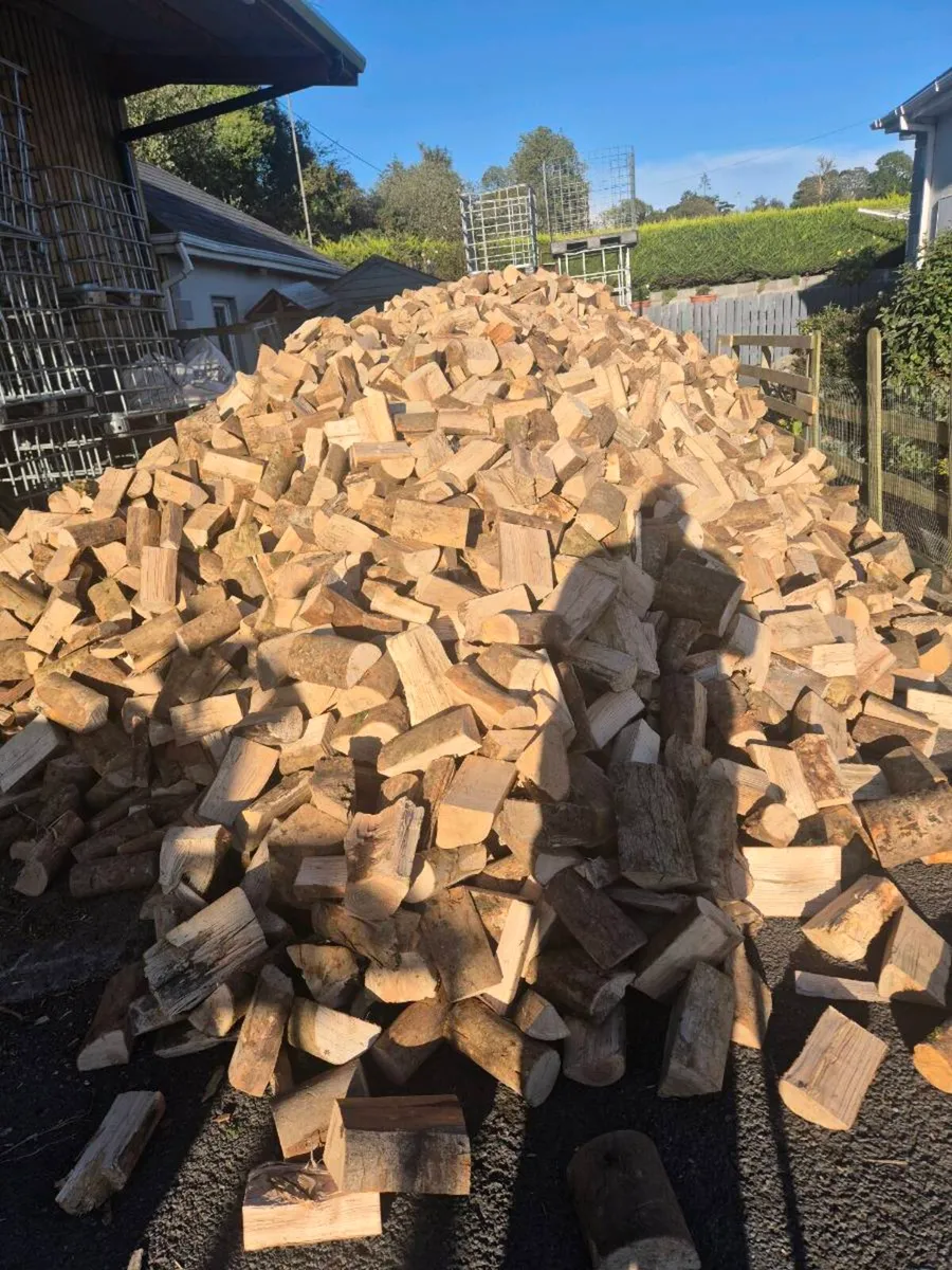 Firewood - Image 3