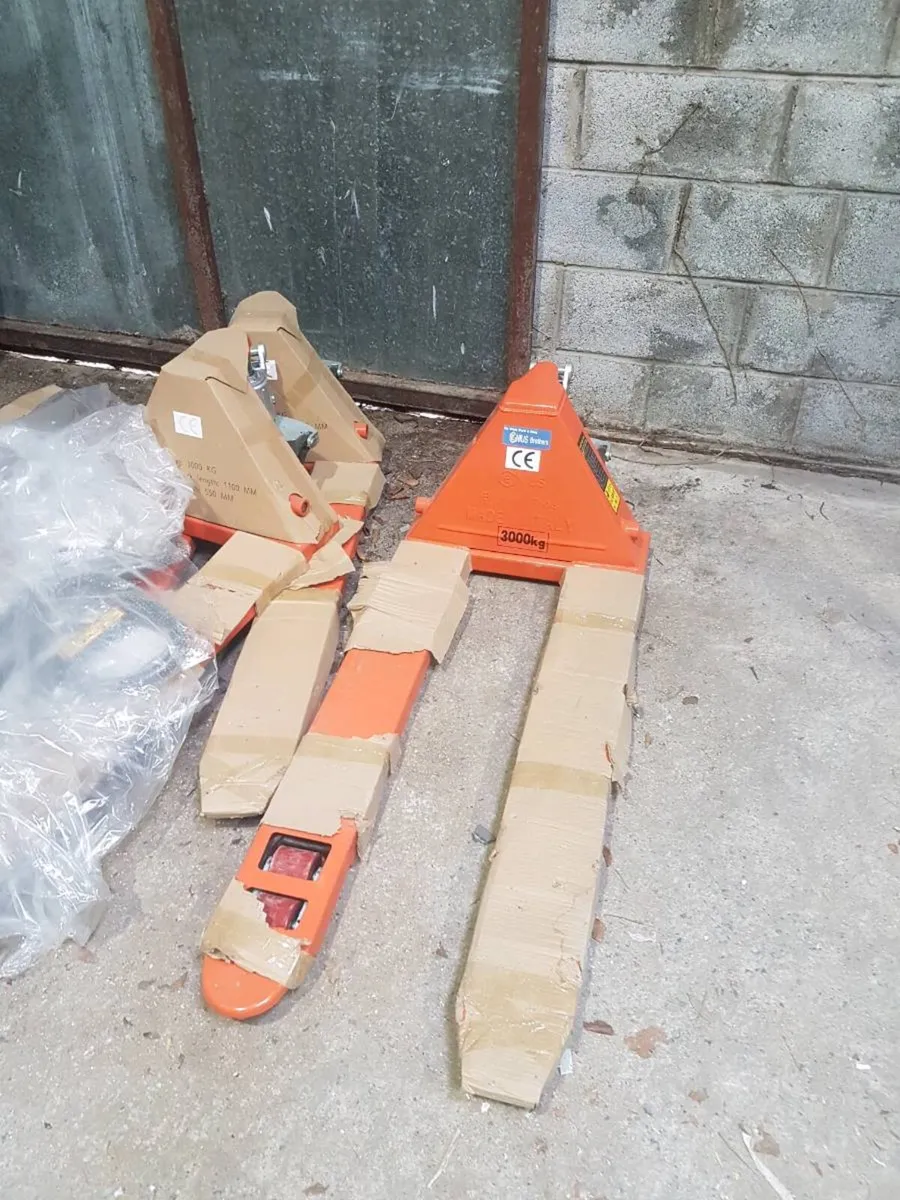 Pallet truck - Image 1