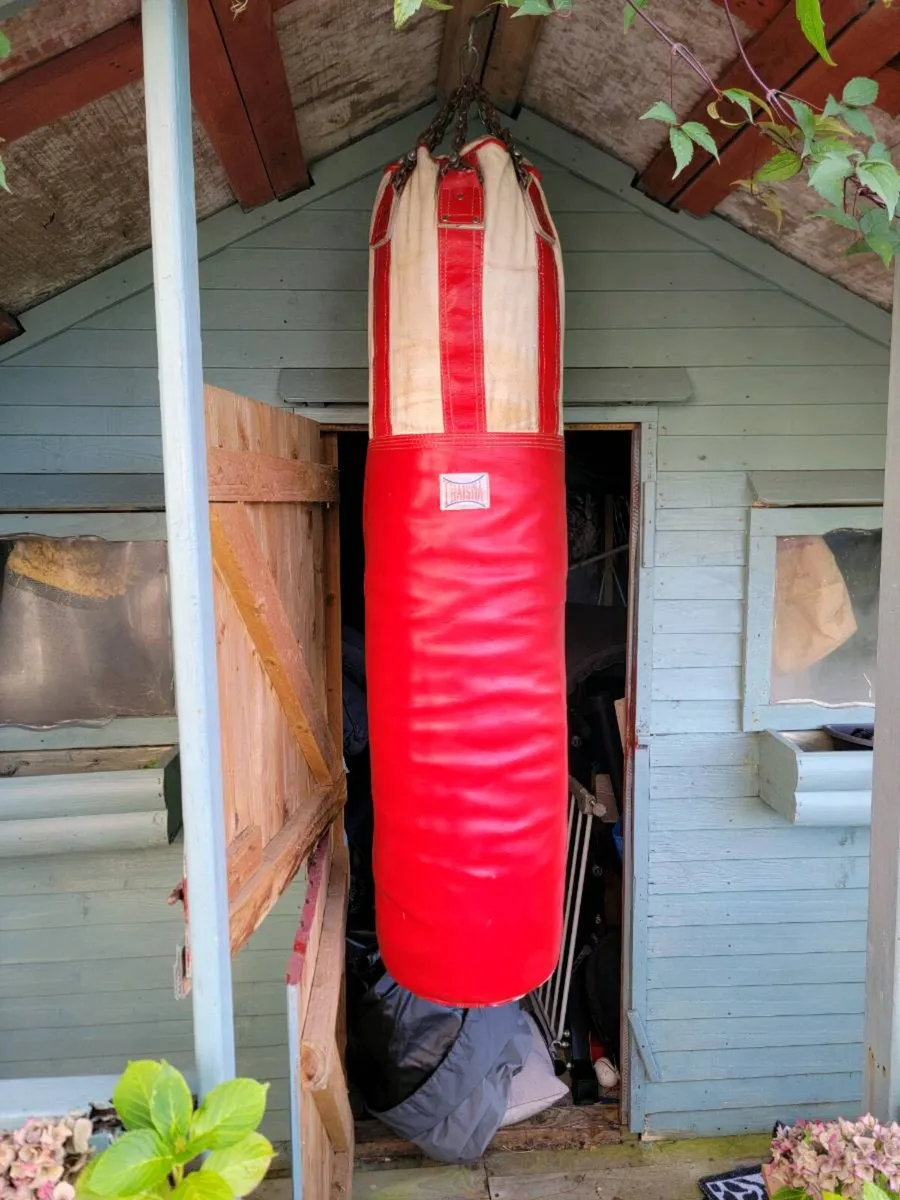 Boxing/ kick boxing punch bag - Image 1
