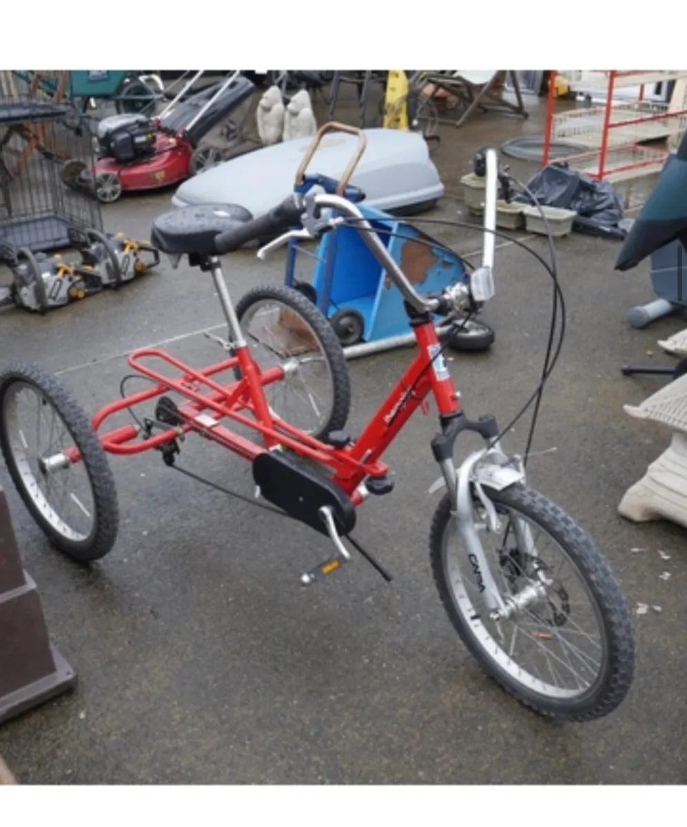 Adults Trike /Special Needs - Image 2
