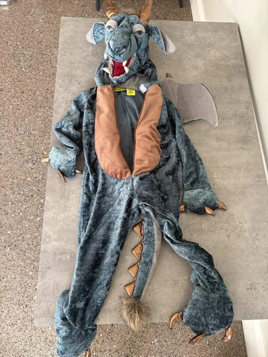 Halloween Costumes Dragons & Shark - Image 1