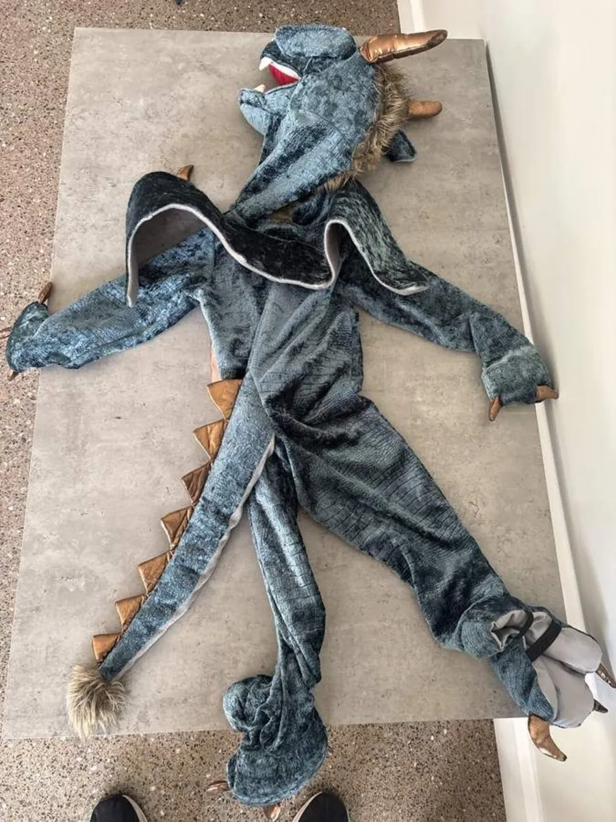 Halloween Costumes Dragons & Shark - Image 3