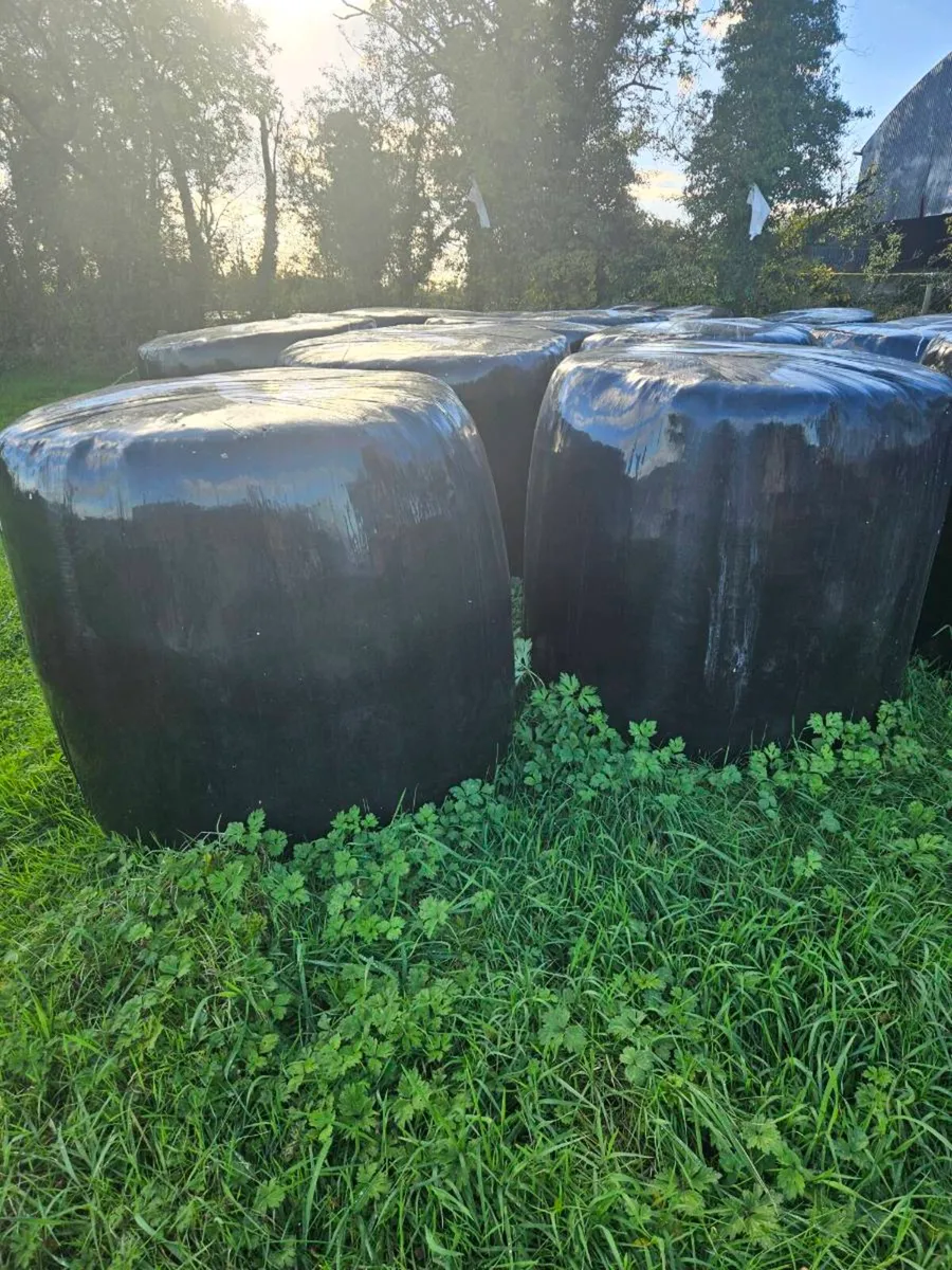 Round Bales