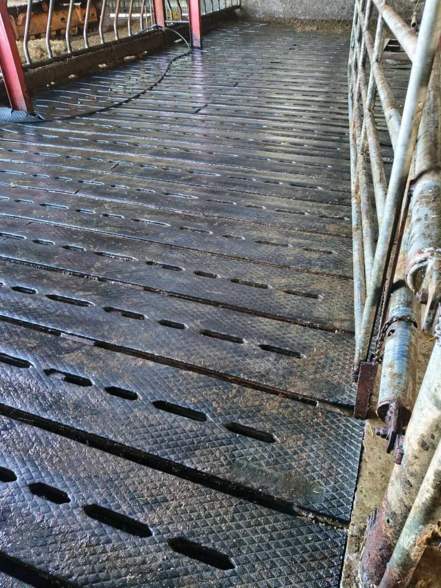 Slat mats/Cattle mats - Image 2