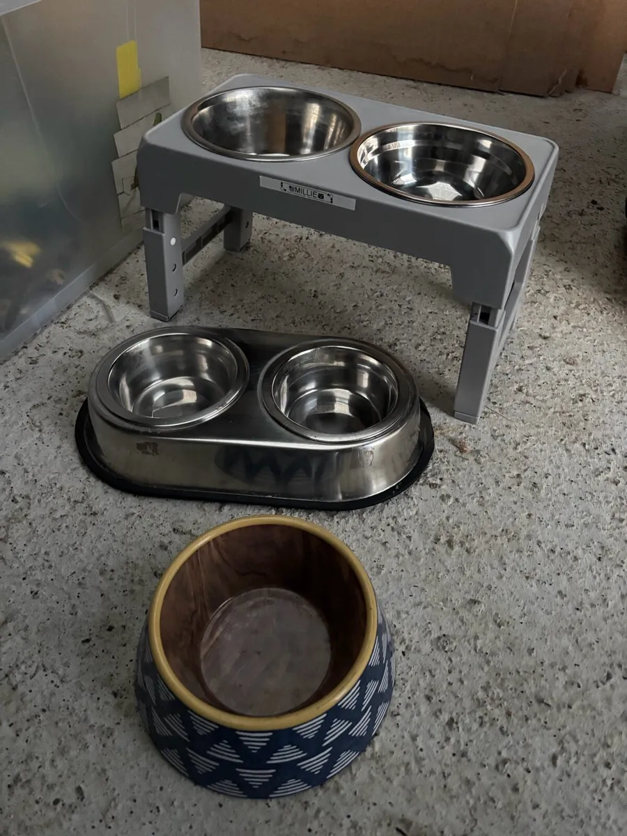 Canine Accommodation for Sale - Image 4