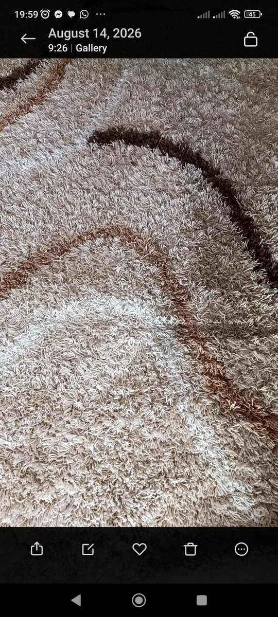 Large rug and matching runner - Image 1